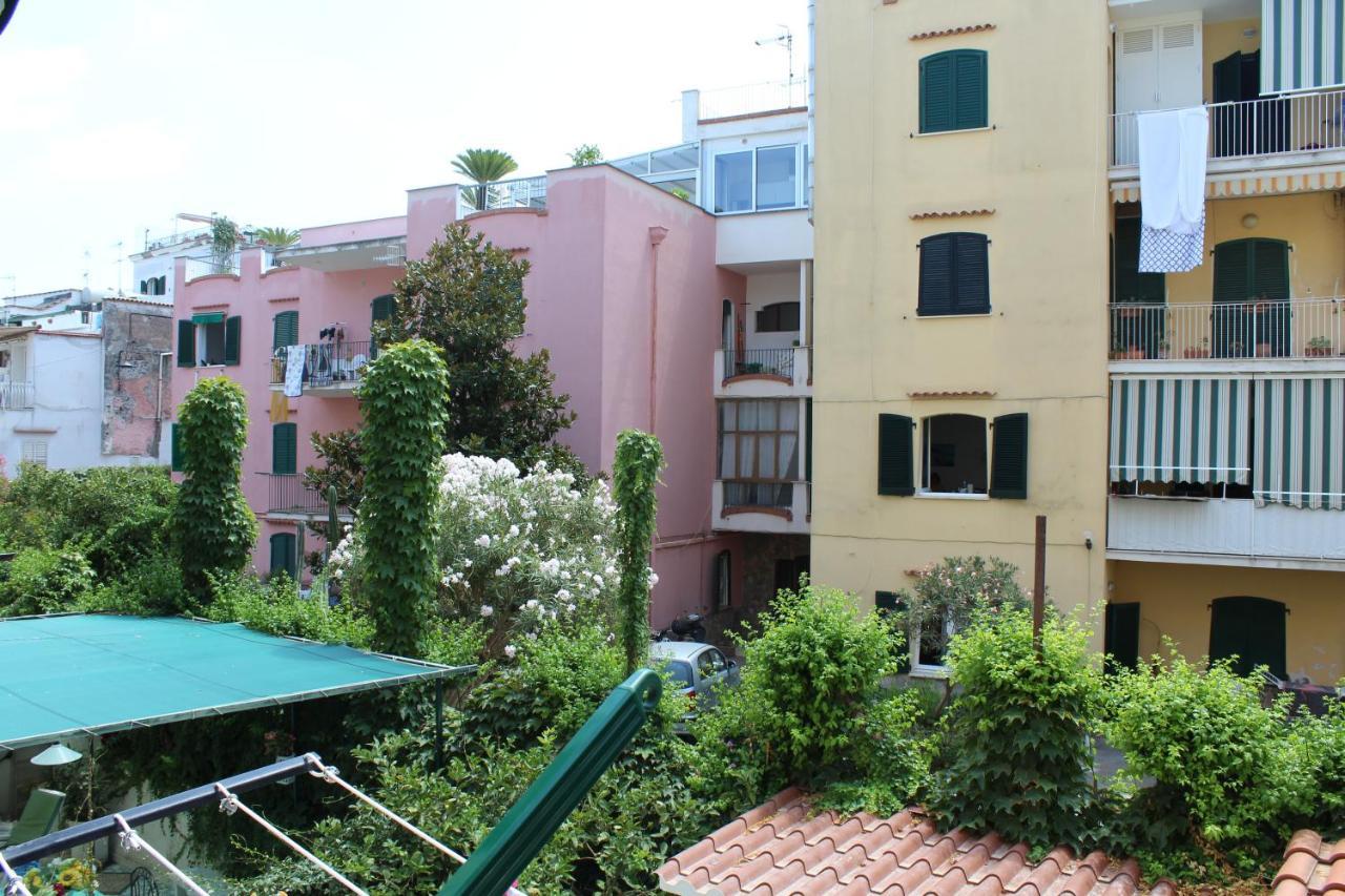 Apartament La Casa Ridente : Ischia Porto Zewnętrze zdjęcie